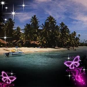 Meet your Posher, Sharifa